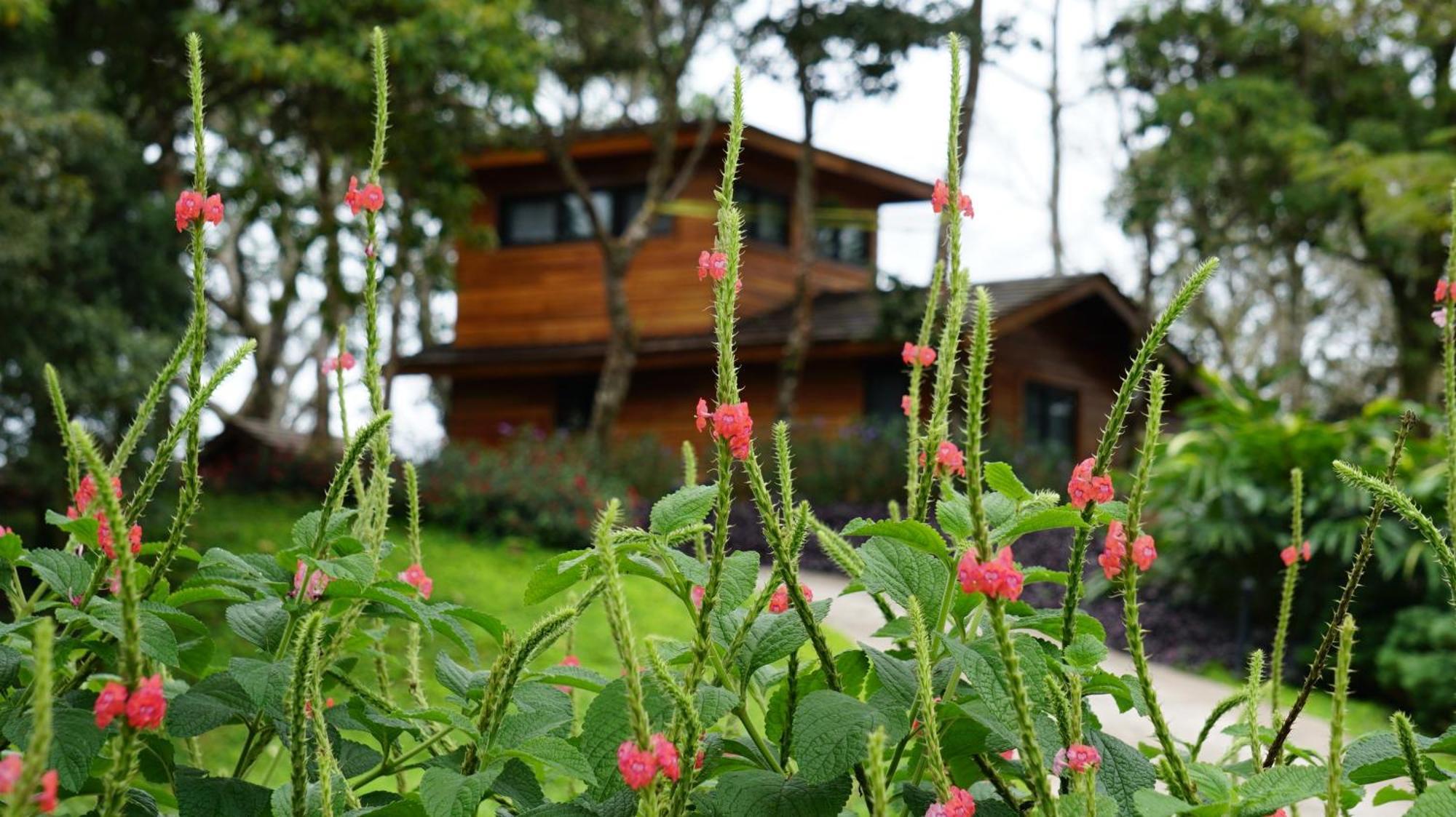 Lucero Golf And Country Club Tree Houses Бокете Экстерьер фото